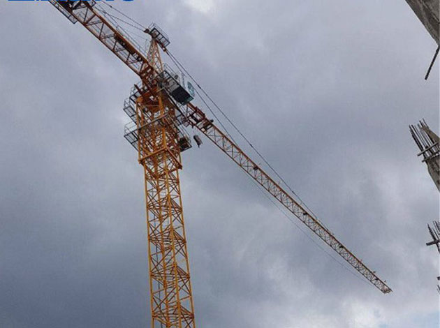 Biggest Topkit Tower Crane