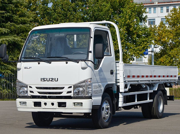 Isuzu Cargo Truck